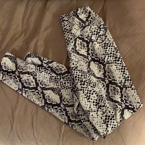 Ascend Pant- Python
